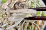 蟹味菇炒绿豆芽