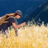 秋天菊花盛开时