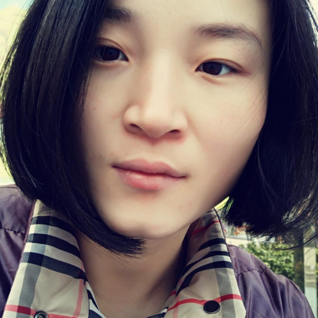 懒猫的夏日阳光