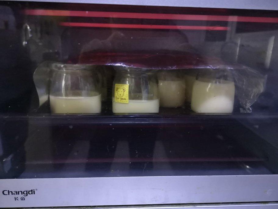 超简单蛋奶布丁（烤箱版）