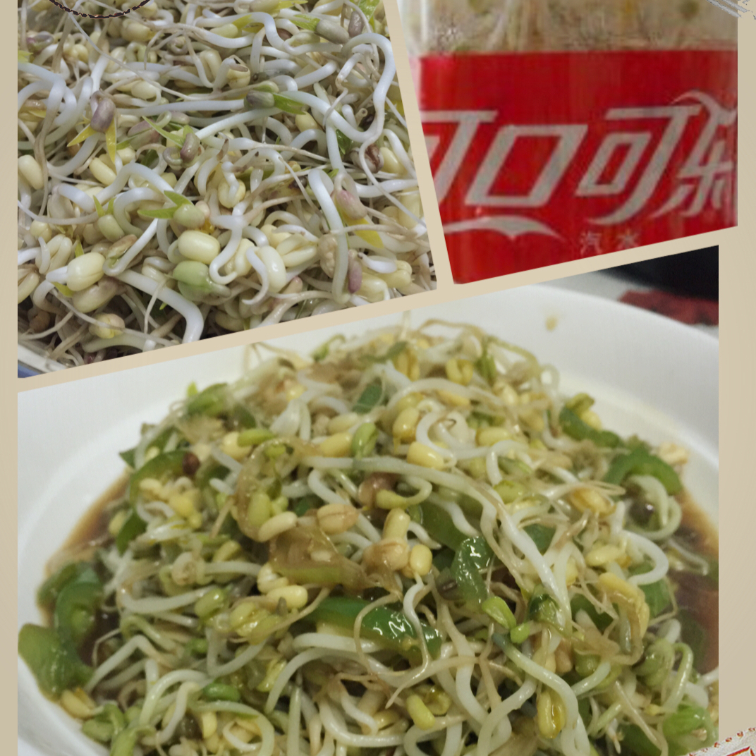自发豆芽（可乐瓶发豆芽0失败！）
