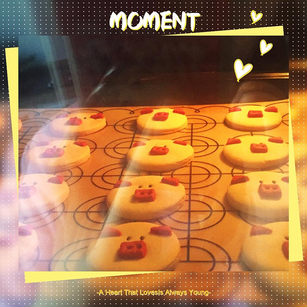 小猪曲奇饼干祝你诸事顺意