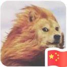 秋厨记