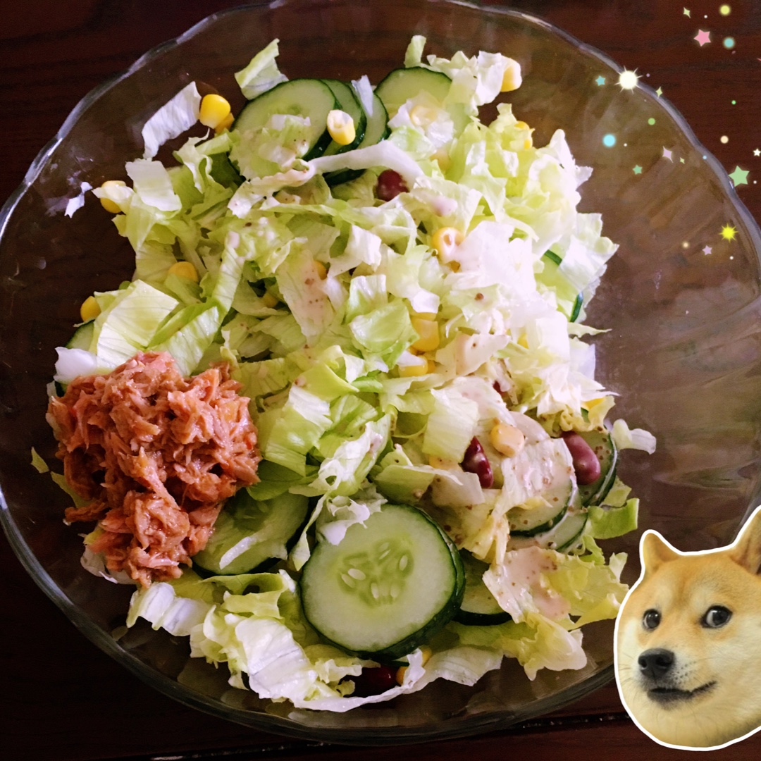 减肥的好帮手--三色金枪鱼沙拉