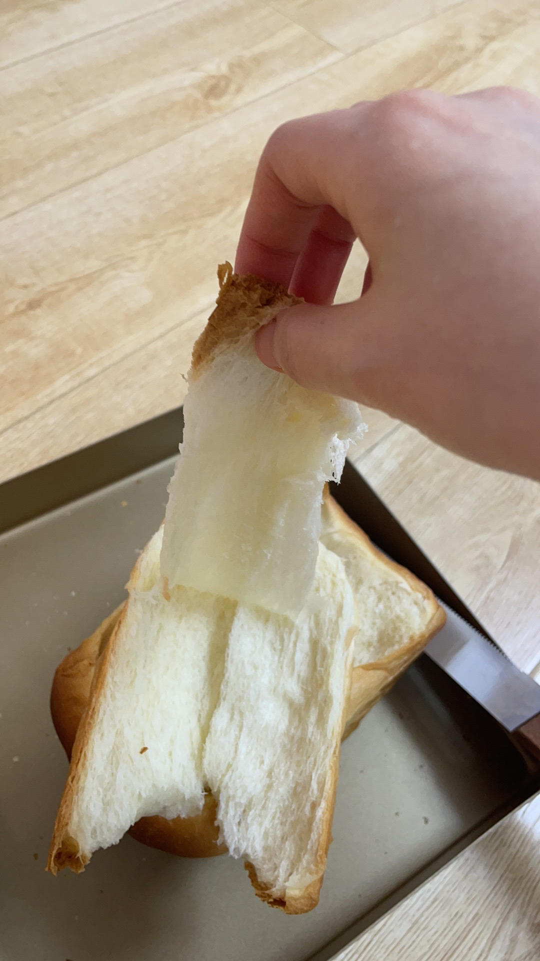 超柔软一发‼️奶香葡萄干手撕吐司『松软拉丝』