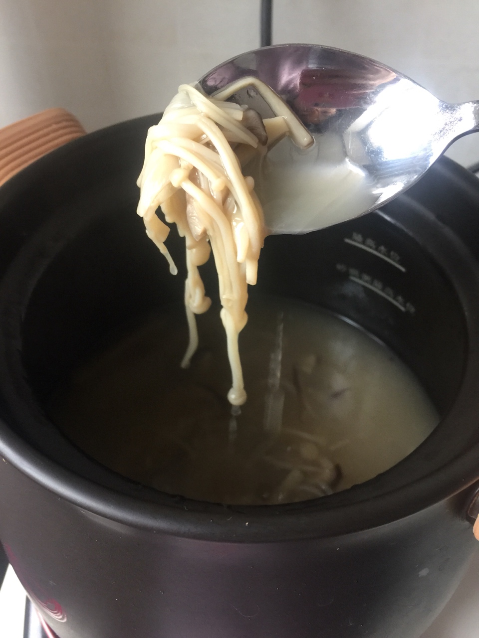 一锅菌汤
