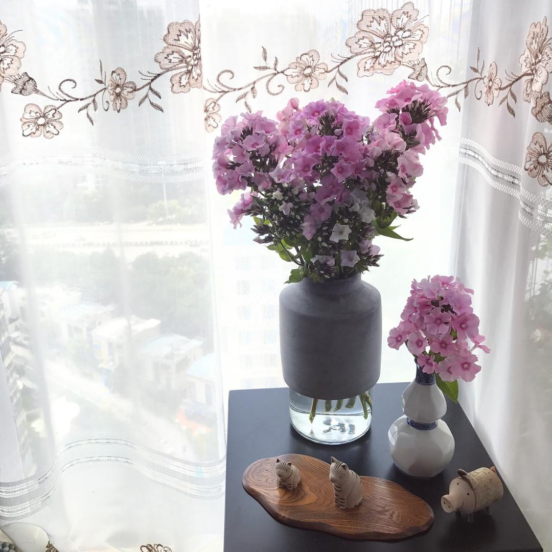 每周一花