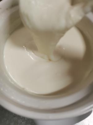 自制酸奶 奶粉版本的做法 步骤1