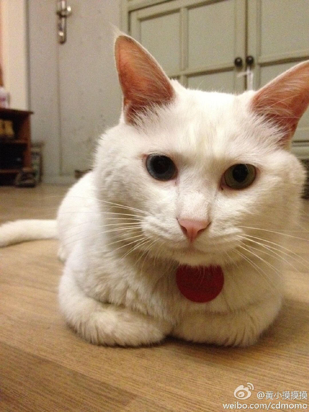 超级无敌快乐小哪吒