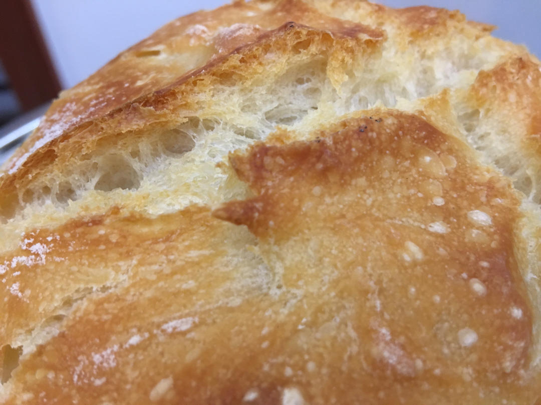 波兰酵头乡村面包--铸铁锅版