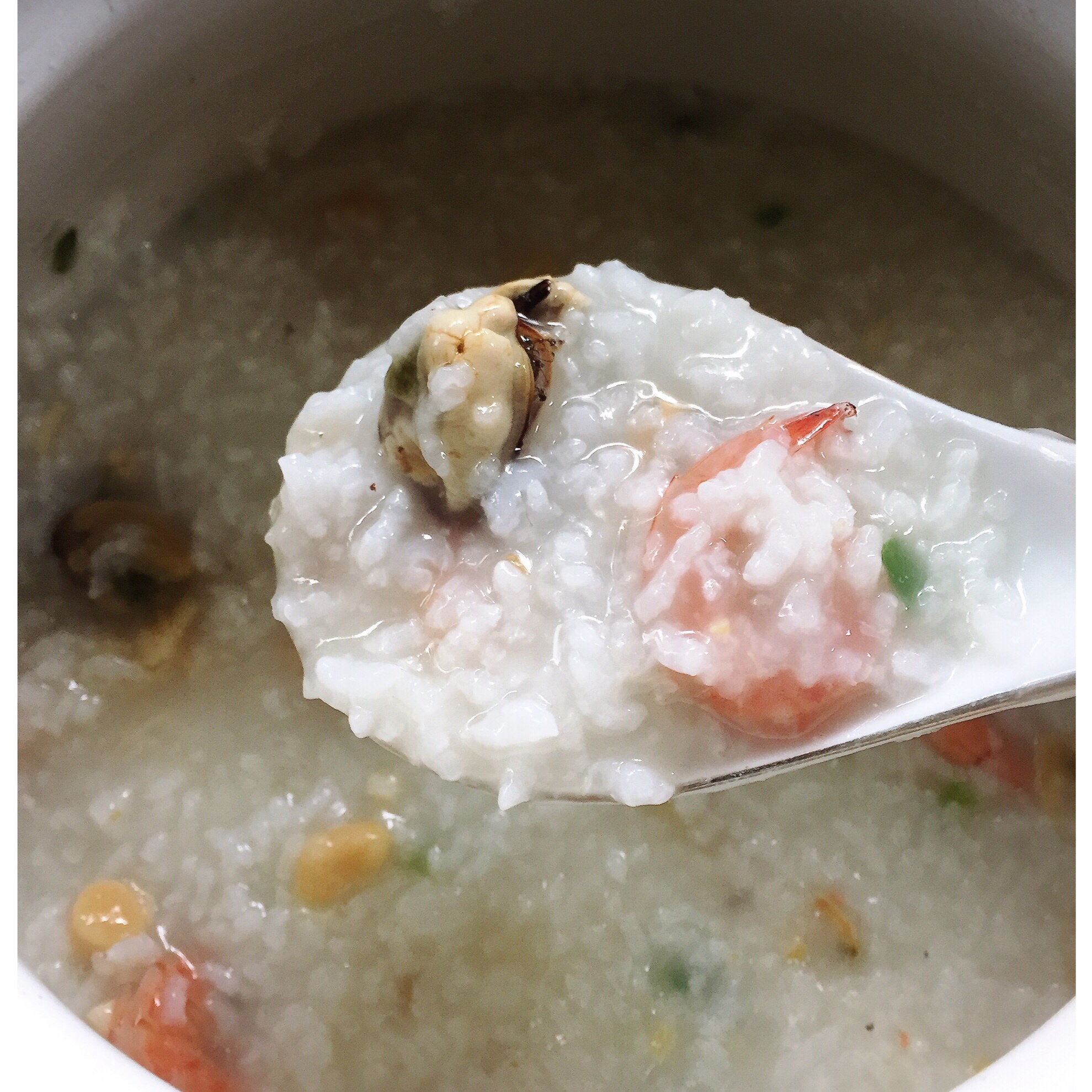 干贝蛤蜊海鲜粥