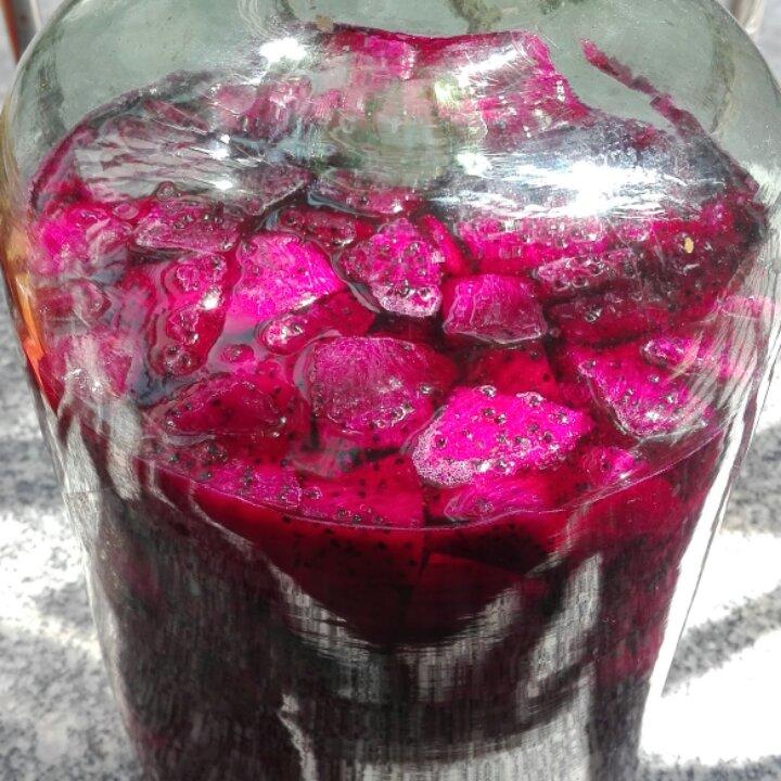 火龙果酒