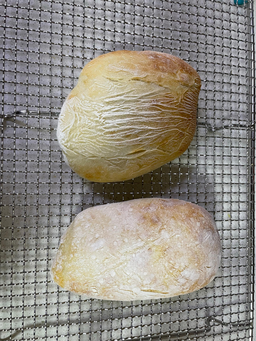 意大利恰巴塔初体验｜无糖少油面包｜波兰种｜大水量