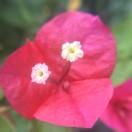 手机用户7755_wz89