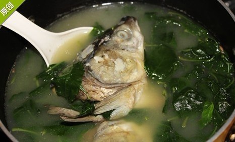 鱼头枸杞叶汤的做法