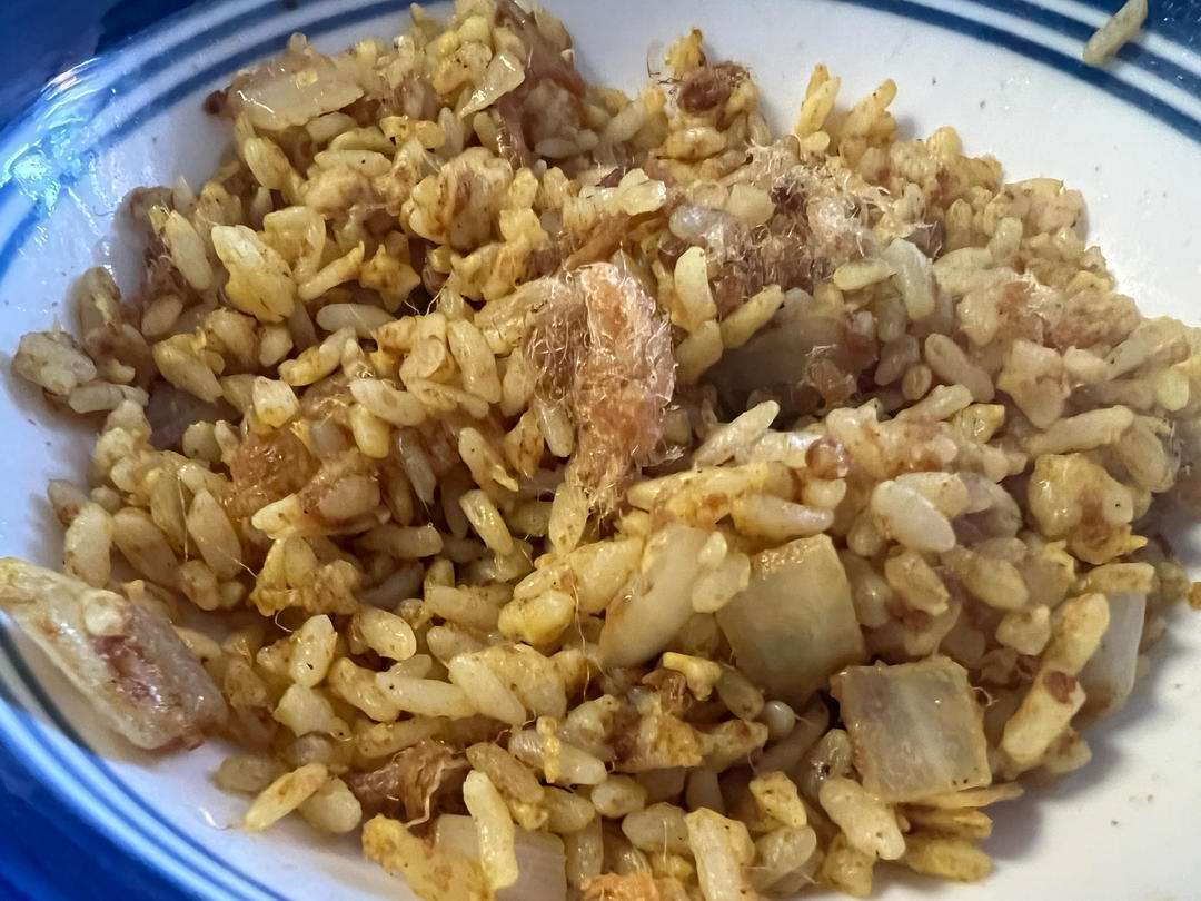 肉松海苔炒饭（快手早餐）
