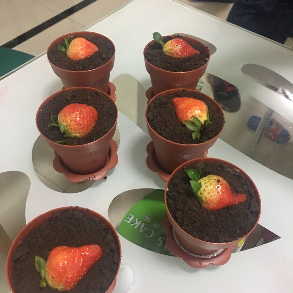 花盆蛋糕