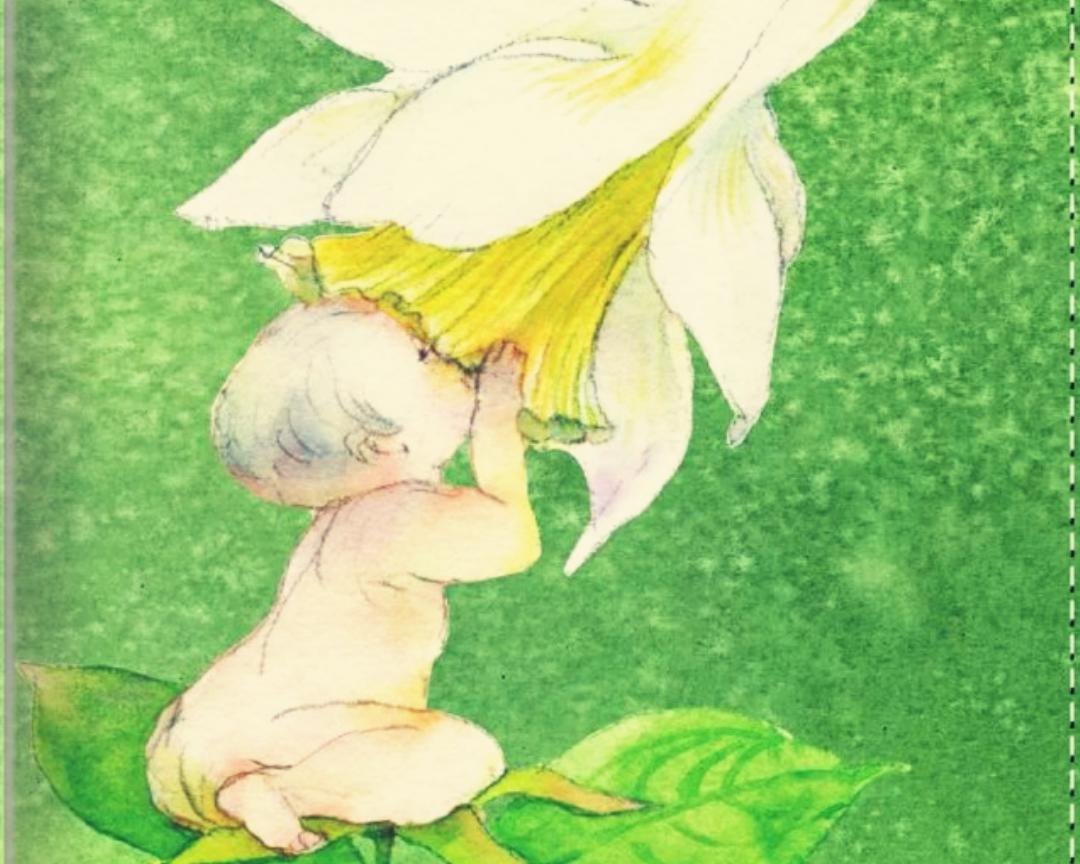 将小小的你养大