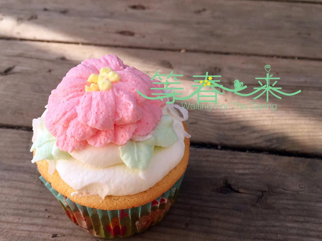 鲜奶油戚风杯子蛋糕（纸杯蛋糕）
