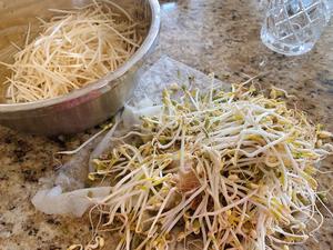 3⃣️天🔆绿豆➡️发1⃣️盆豆芽的做法 步骤6