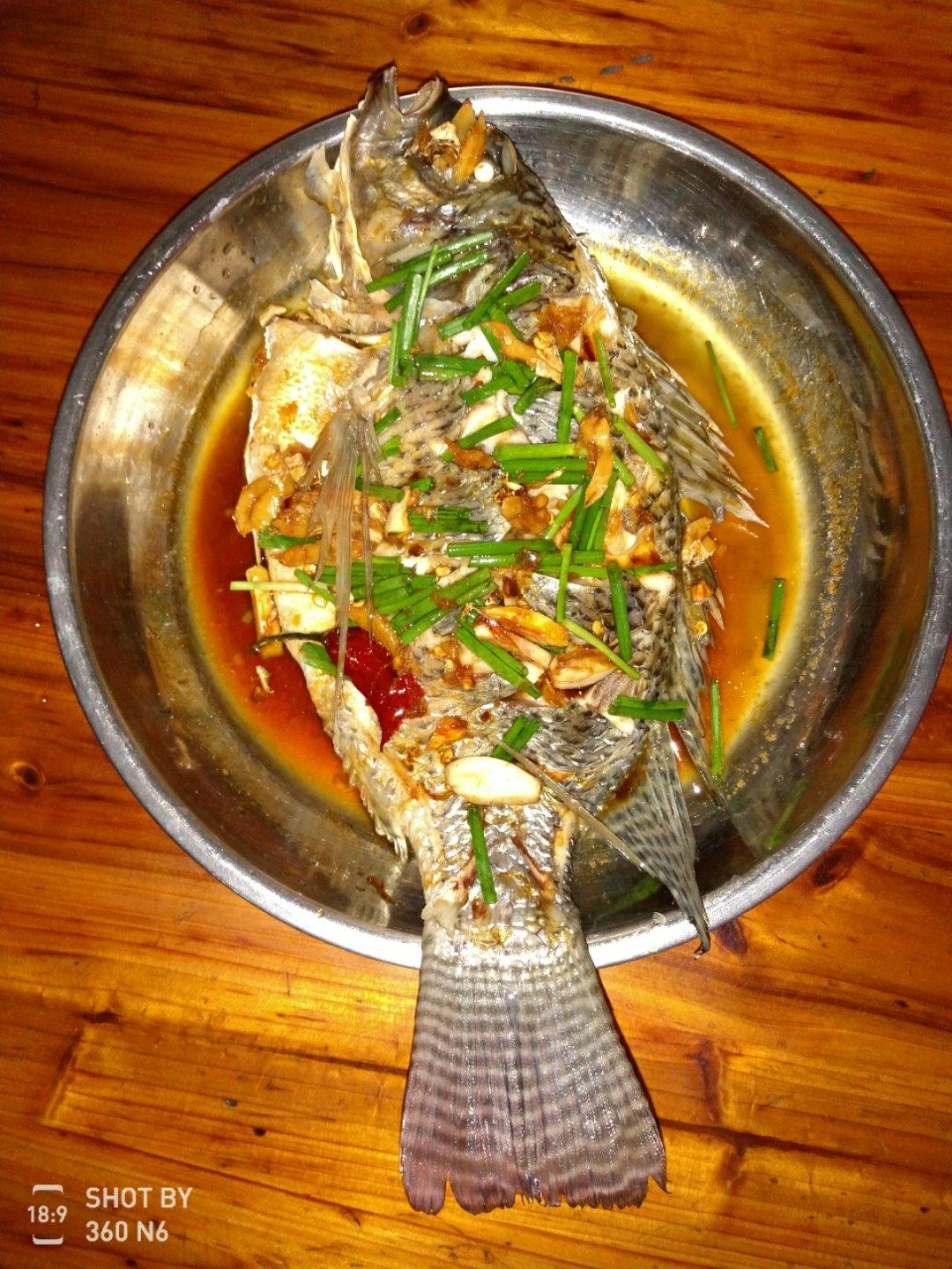 浩婷坤做的清蒸罗非鱼