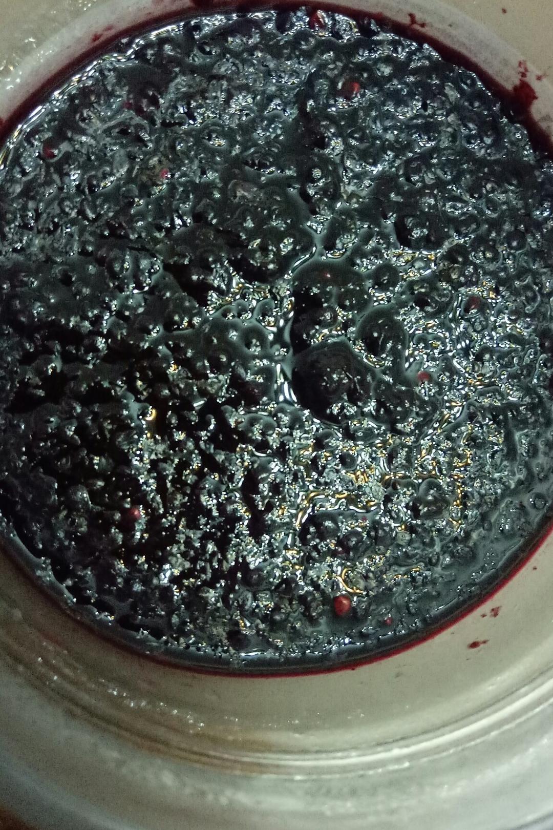桑葚蜜膏