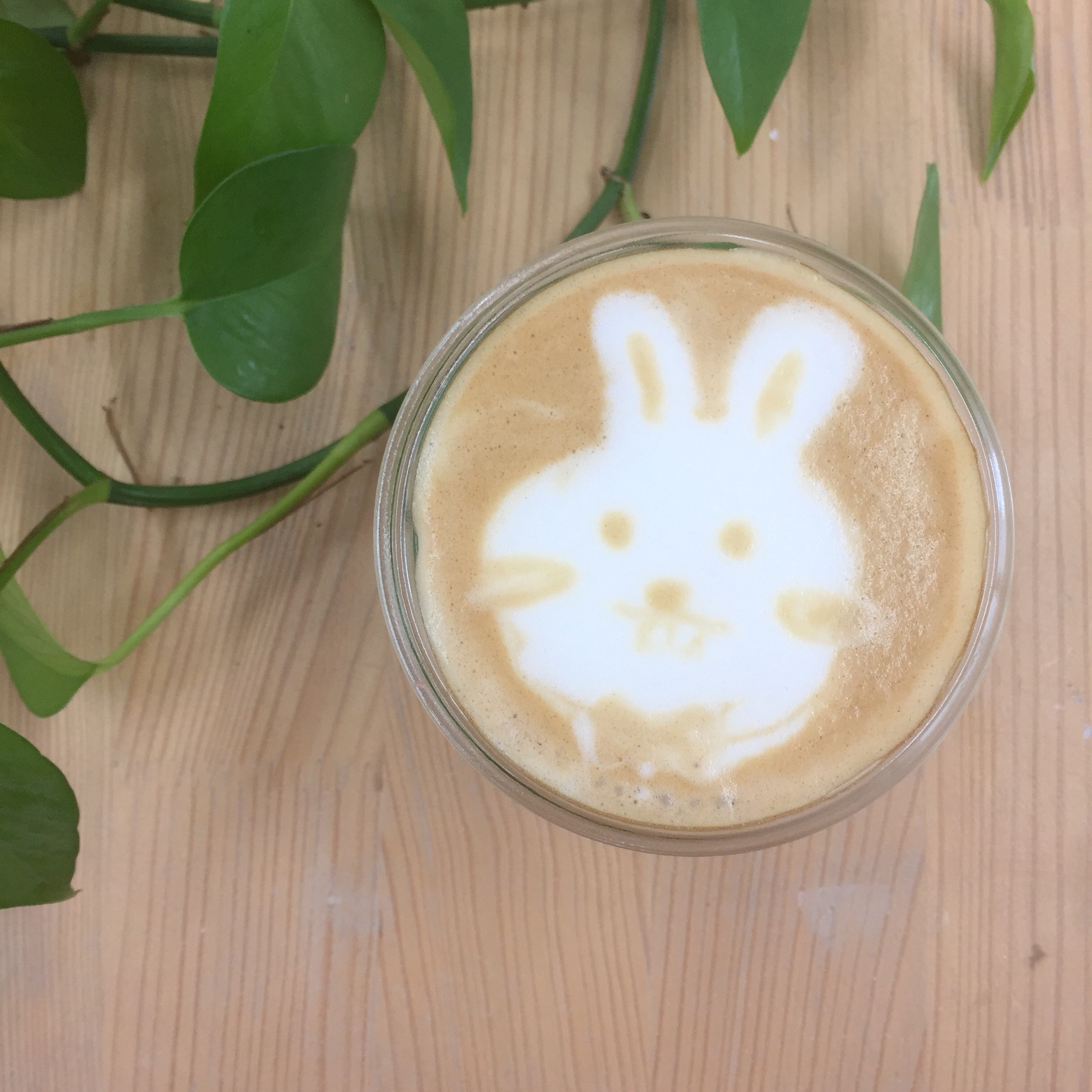兔子咖啡的做法
