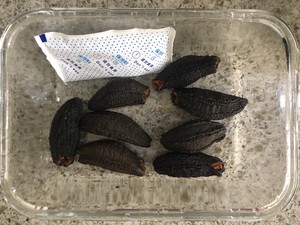 葱烧加拿大野海参(含海参泡发)的做法 步骤1