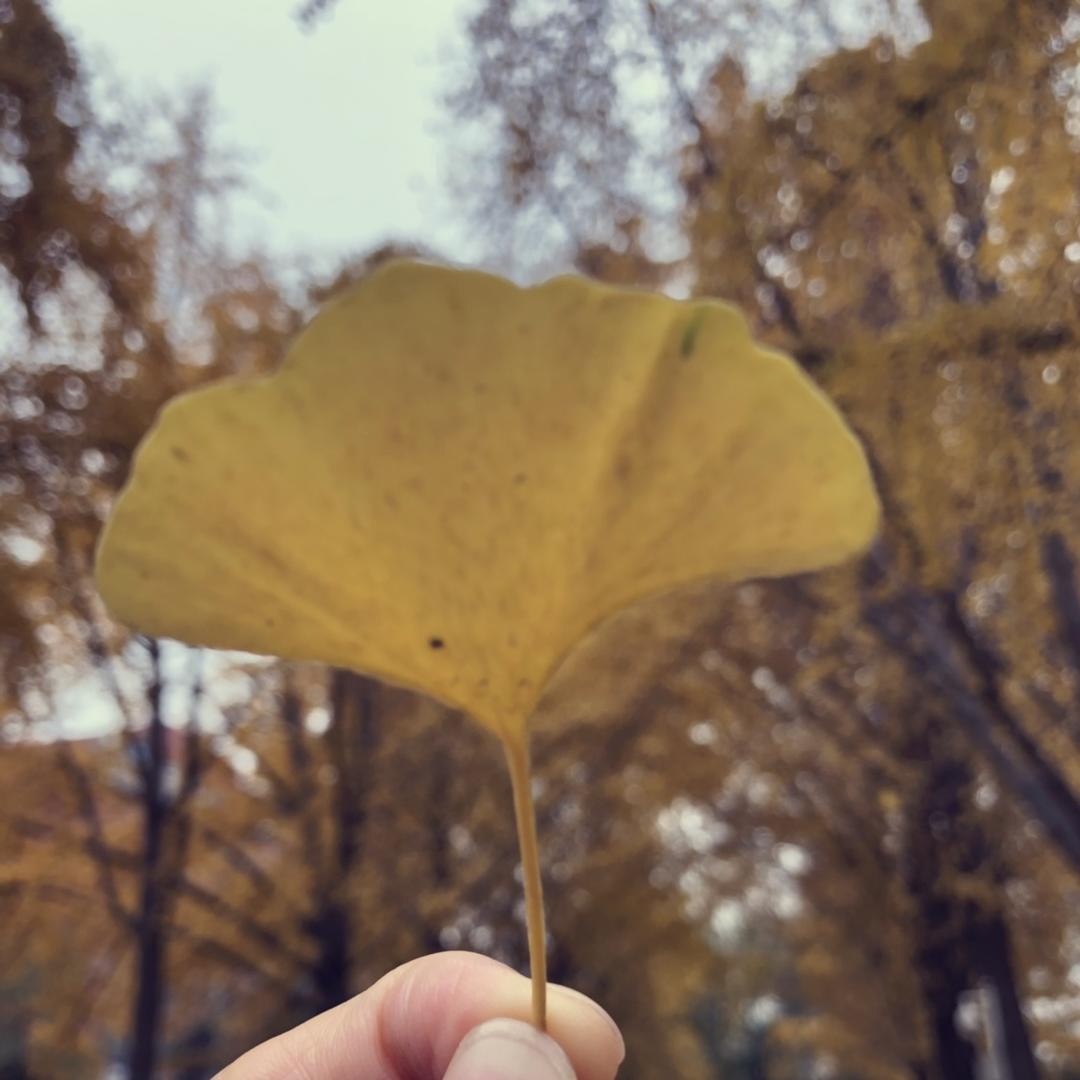 小开学做食物的厨房