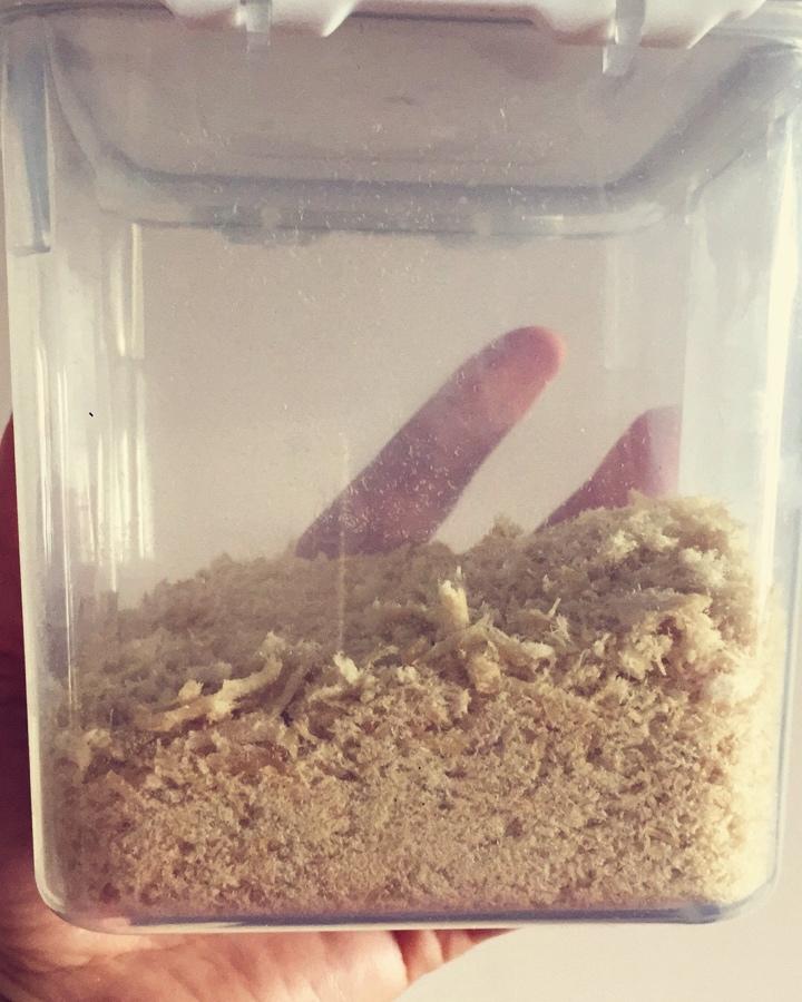 宝宝辅食鸡肉松👶🏻