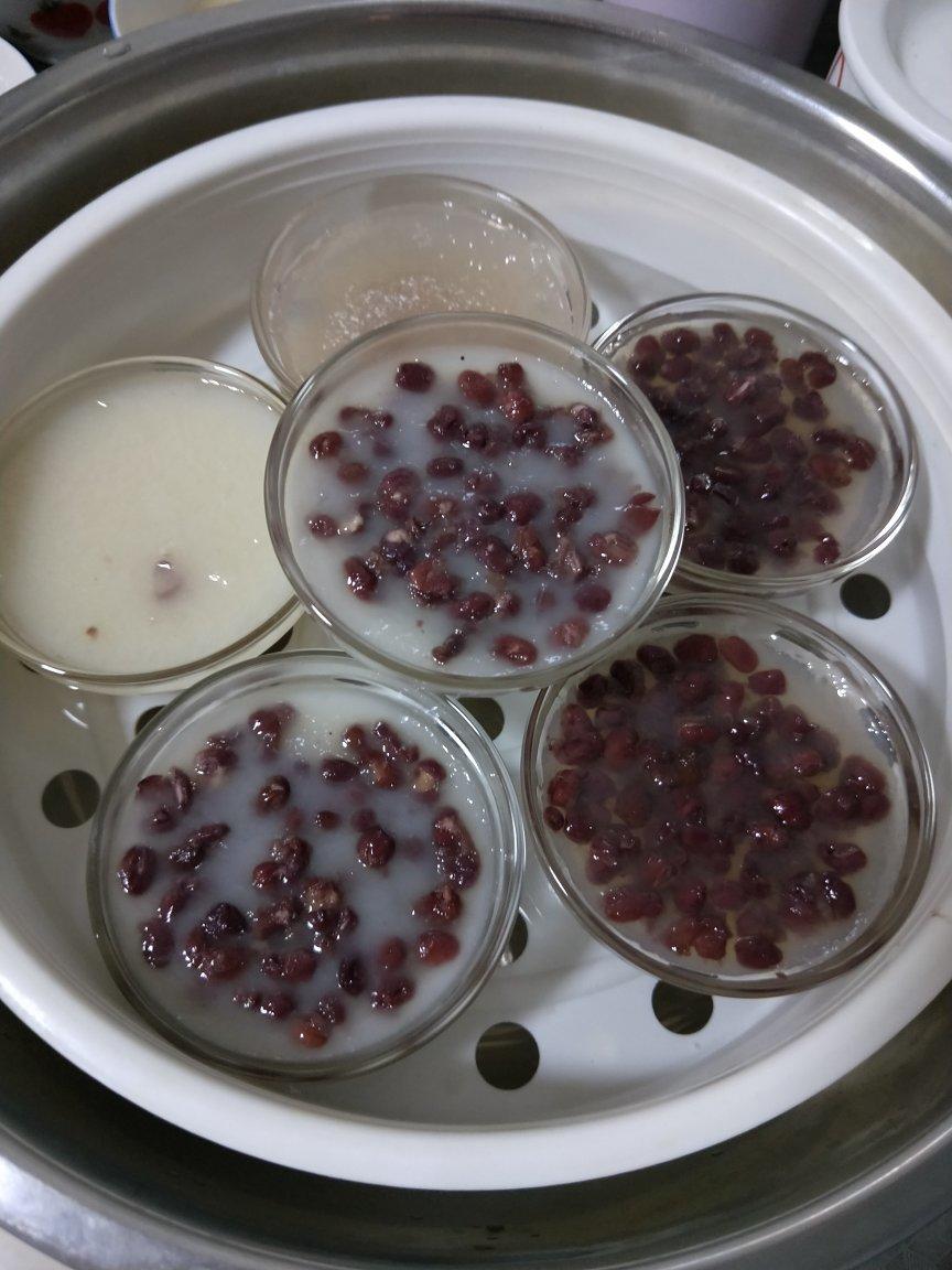 弹滑奶香红豆钵仔糕