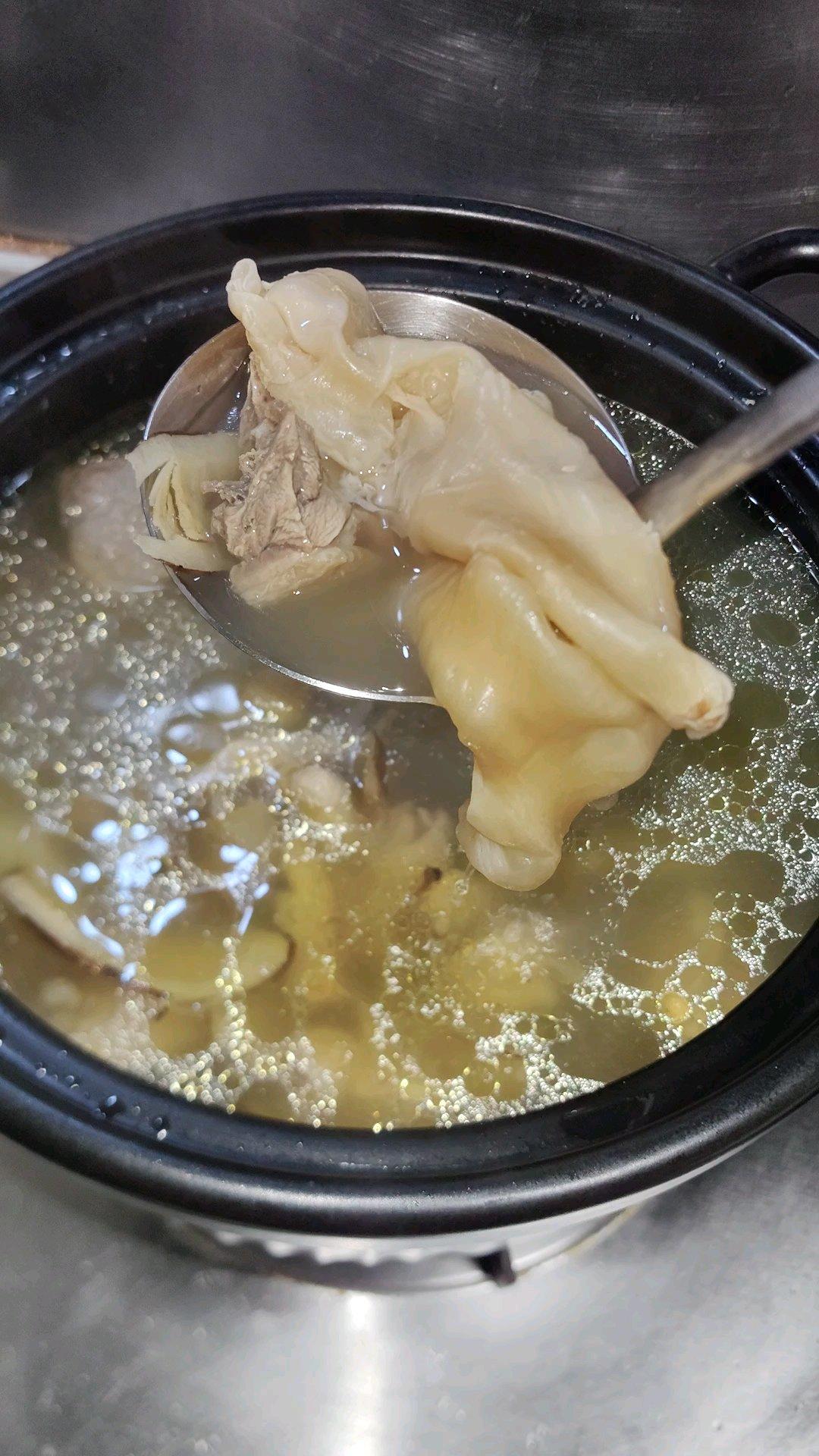 花胶/鱼胶砂仁汤· 养胃·补充胶原蛋白