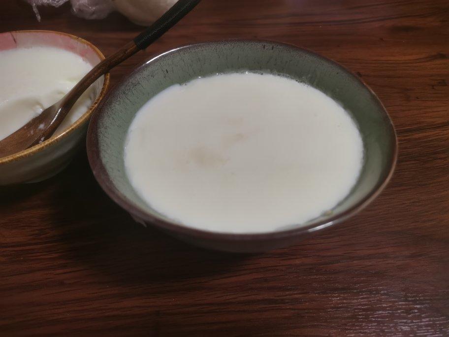 教你做出完美双皮奶 Double-skin Milk Custard