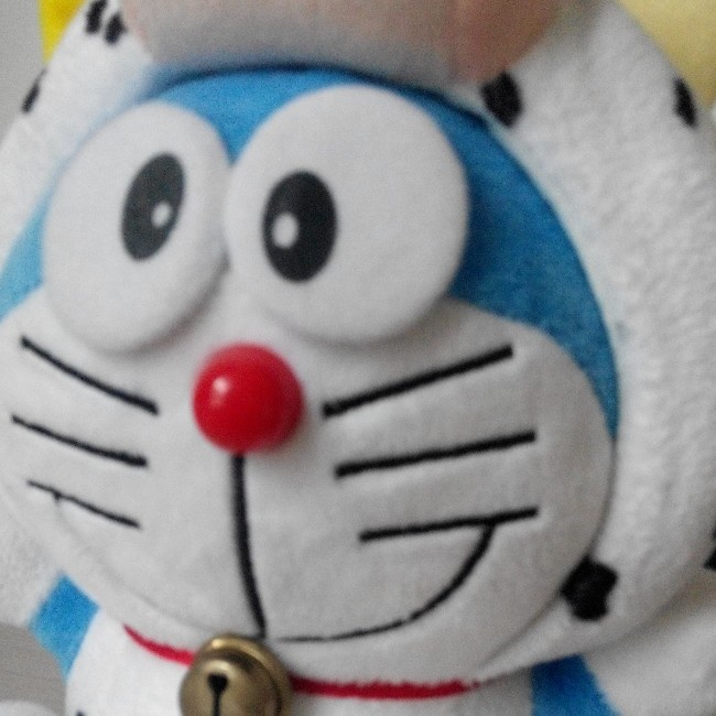 奔跑的小红猫