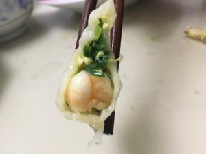 韭菜鸡蛋虾仁水饺的做法 步骤9