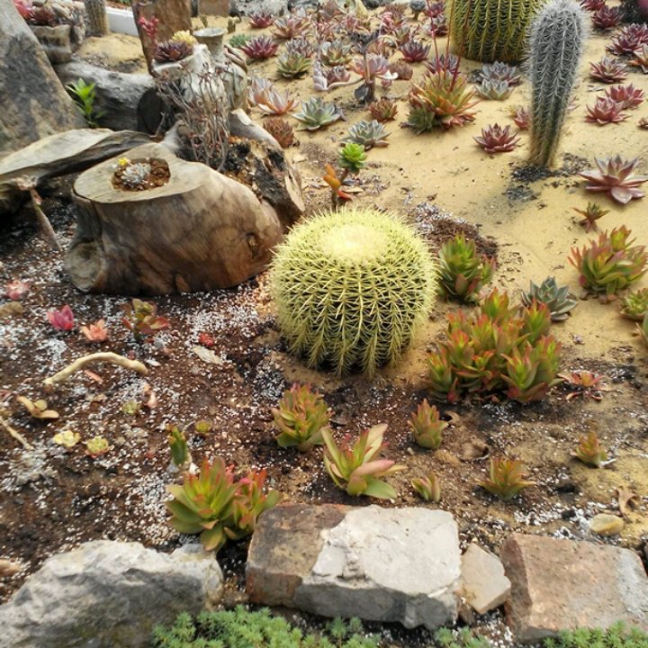灰色的地平线