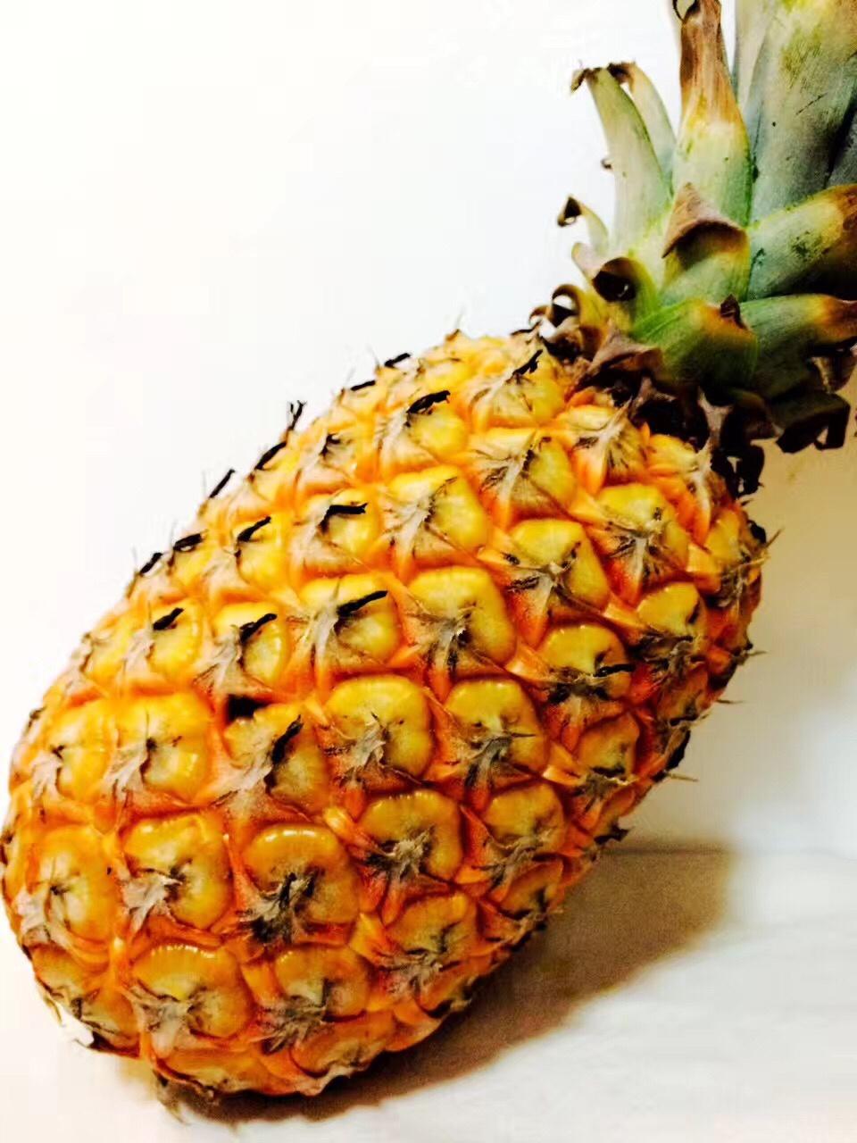 食物的本来面目