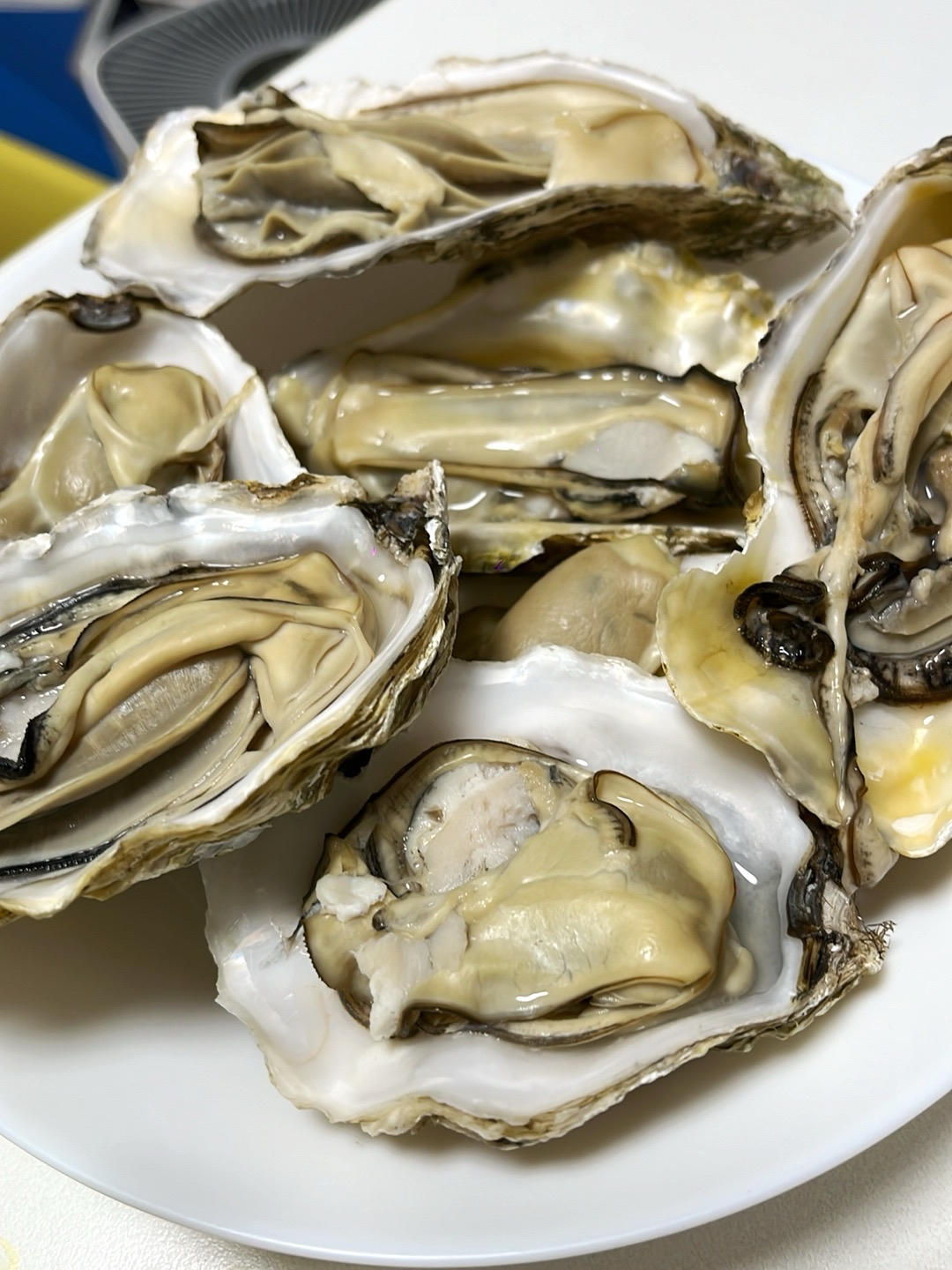 清蒸生蚝（附酱料做法）