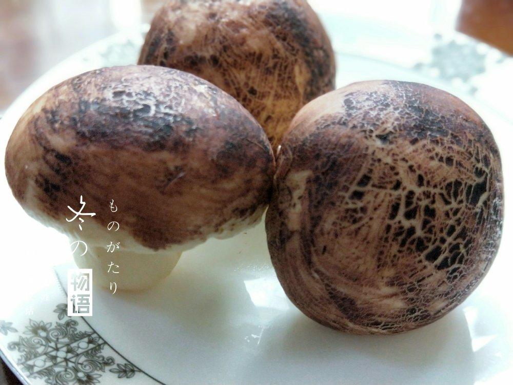 仿真香菇包