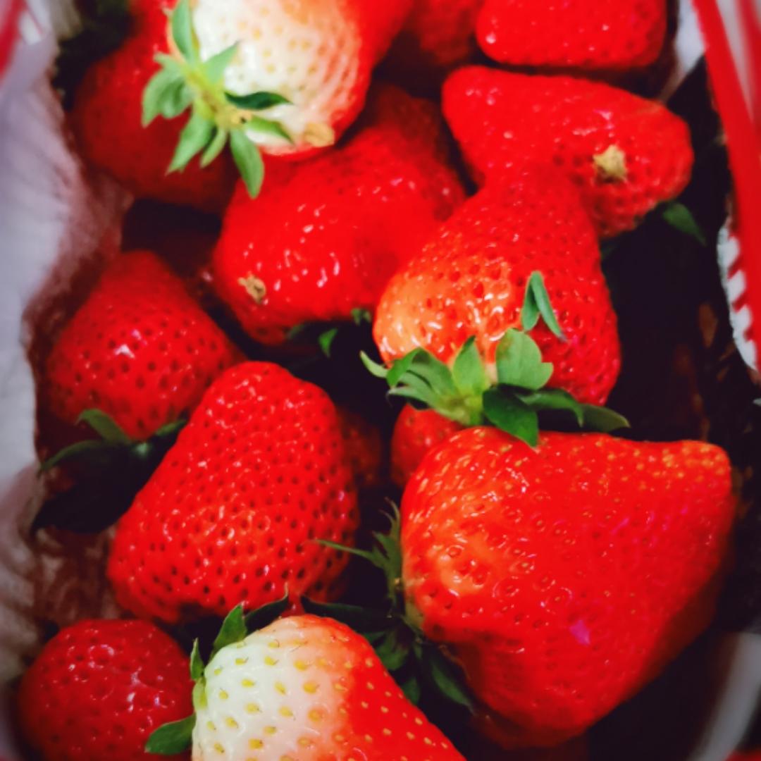 手机用户7422_37bi