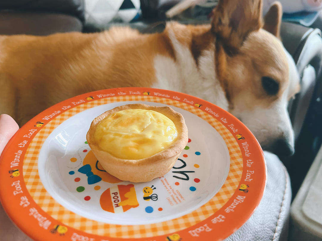 💕外酥里嫩～好吃到停不下来的德式布丁塔