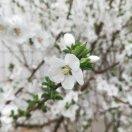 唐唐妈妈爱做饭