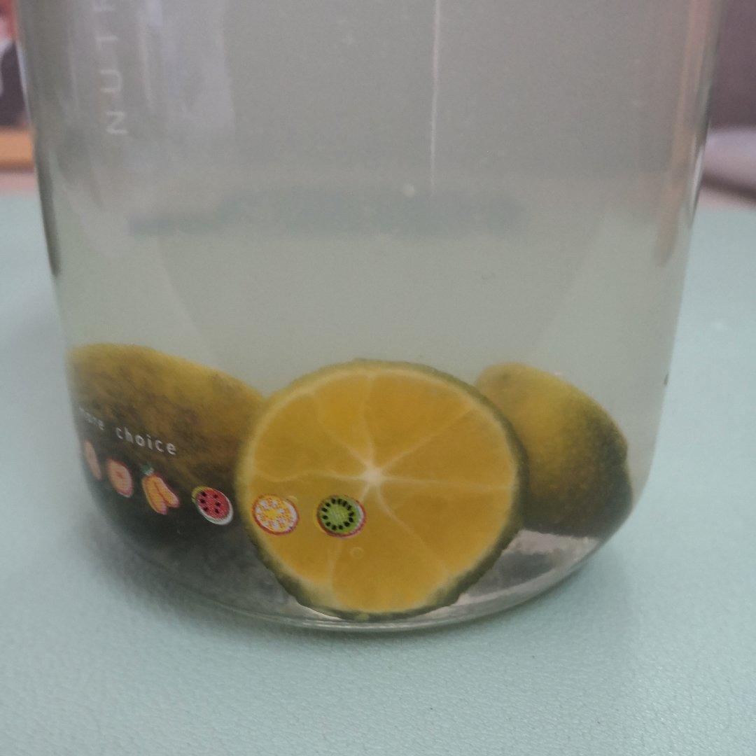 蜜渍话梅小青桔