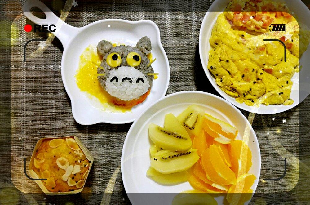 龙猫和煤球精灵饭团