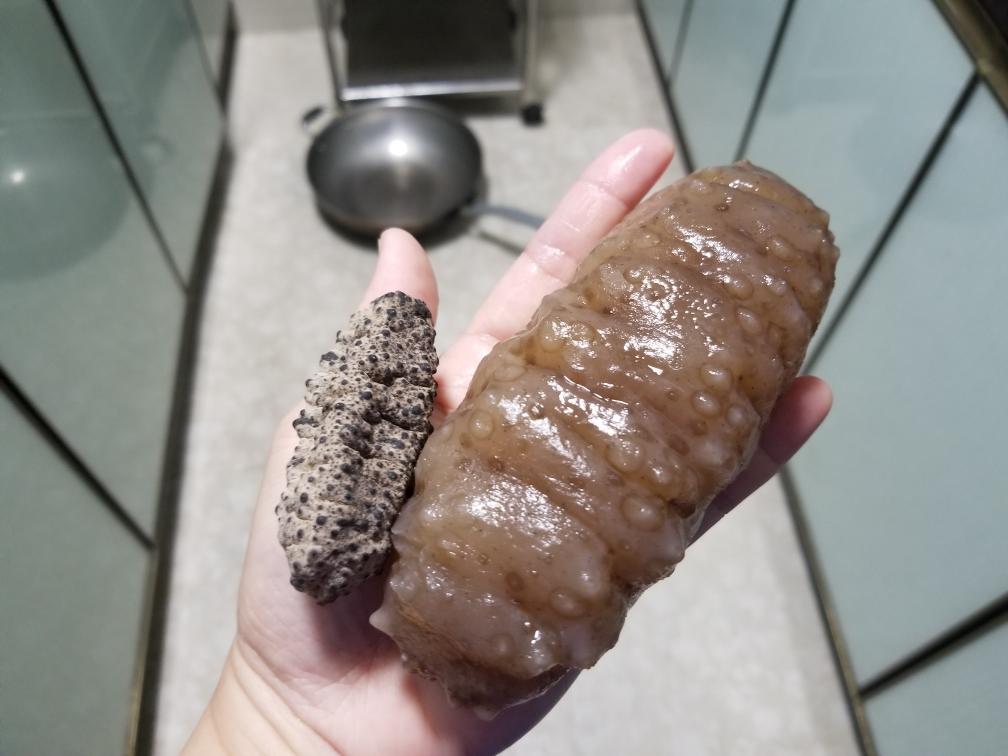 海参变身（缘）