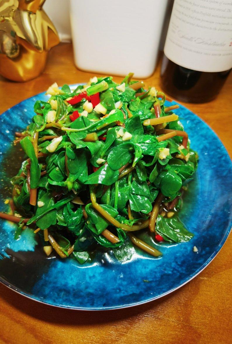 凉拌马马菜（凉拌马齿苋）