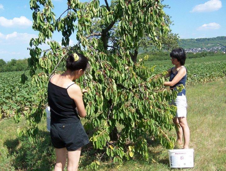 午餐•2019年6月30日