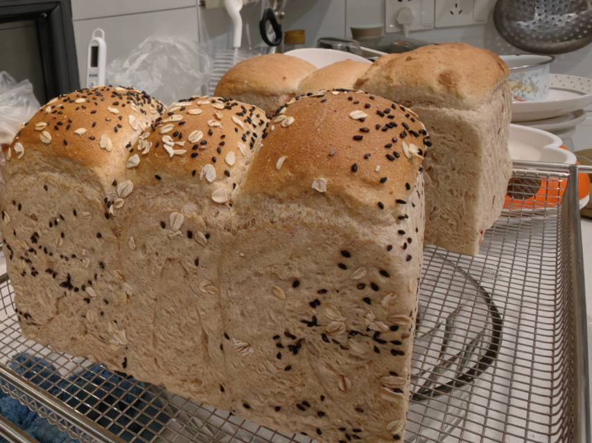 免揉无油全麦吐司🍞