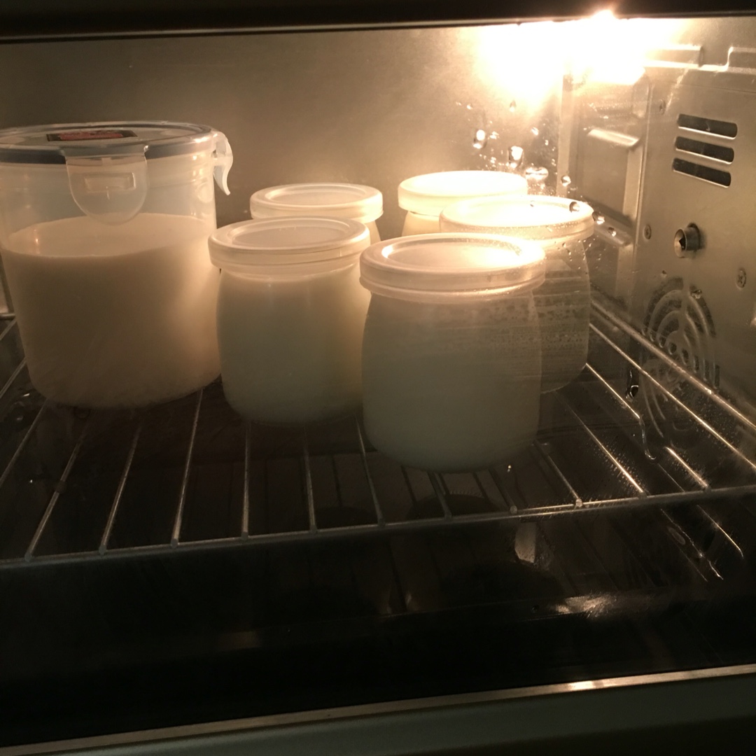 烤箱自制酸奶
