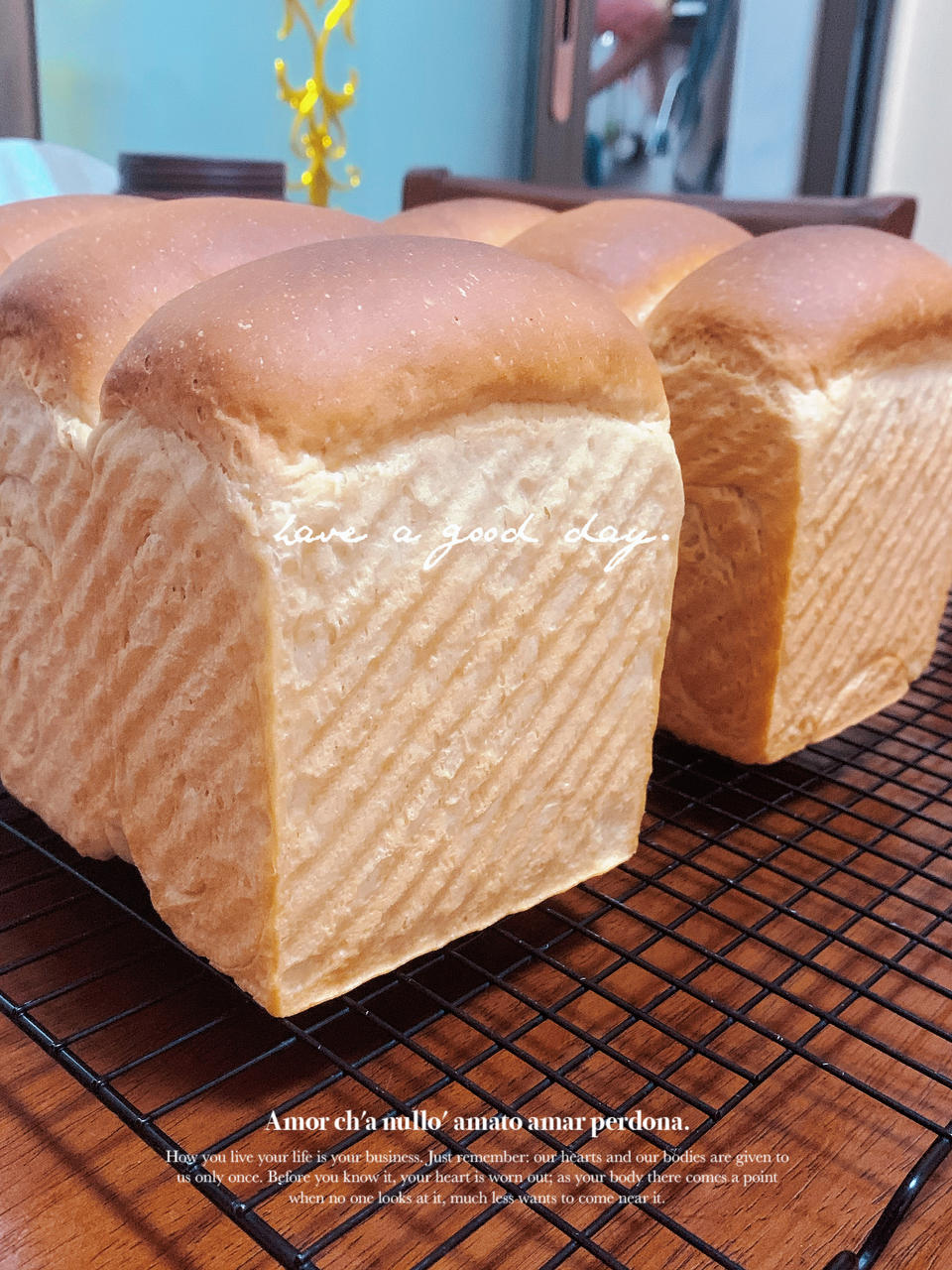 100%真•全麦吐司